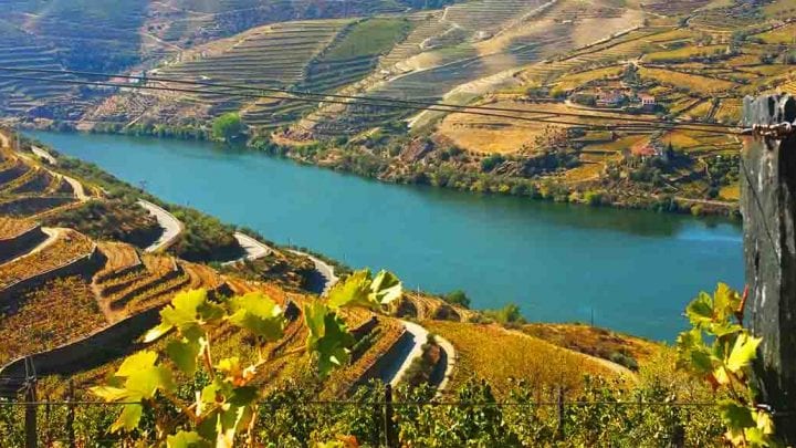 Valle del Duero con cata de vinos – 8h